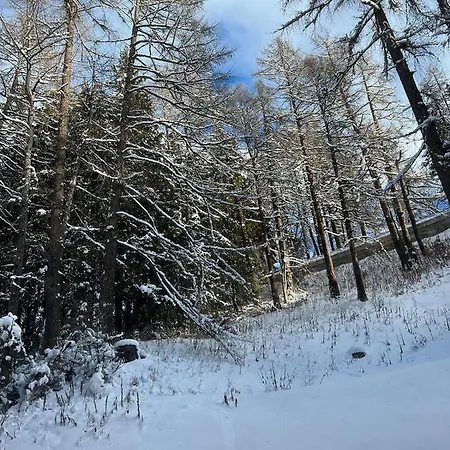 Smarthome Of The World St. Moritz