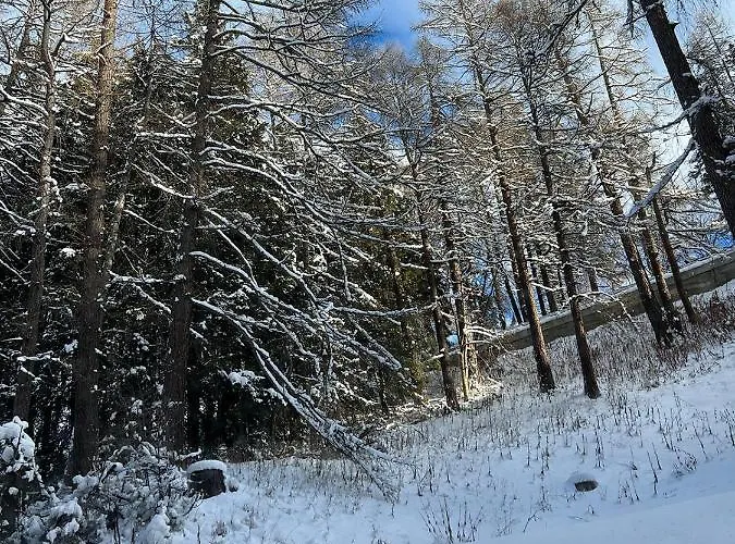 Smarthome Of The World St Moritz